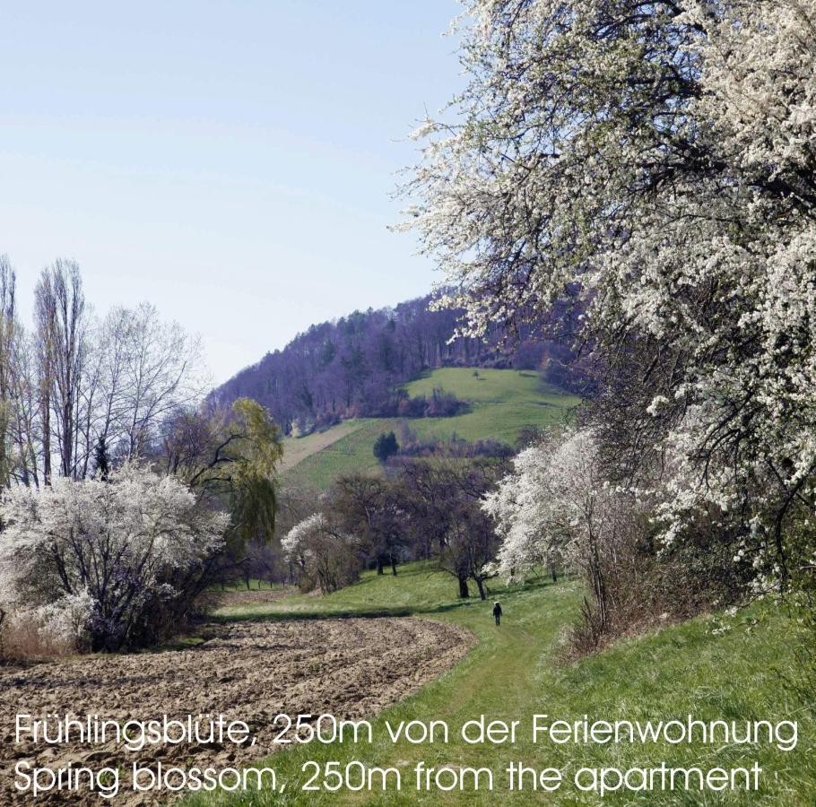 Passivhaus 750M Vom Bodensee -- 2X E-Bike Inklusive -- Neubau 2019 Am Ortsrand Ohningen Dış mekan fotoğraf